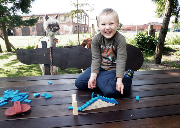 tl_files/Therapie auf vier Beinen/01_images/02_die_therapie/02_die_therapie_positive_therapieeigenschaften_der_tiere_01.jpg